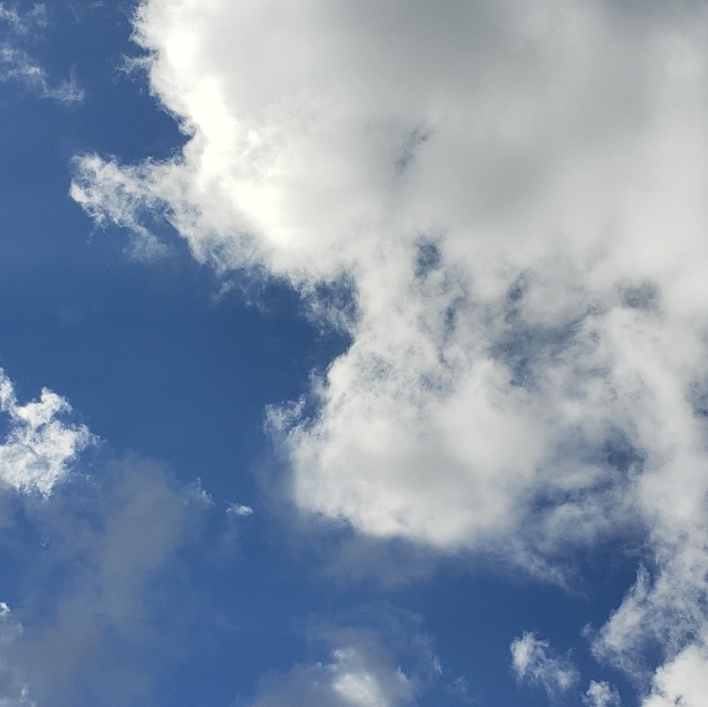 Meet your Posher, Joe